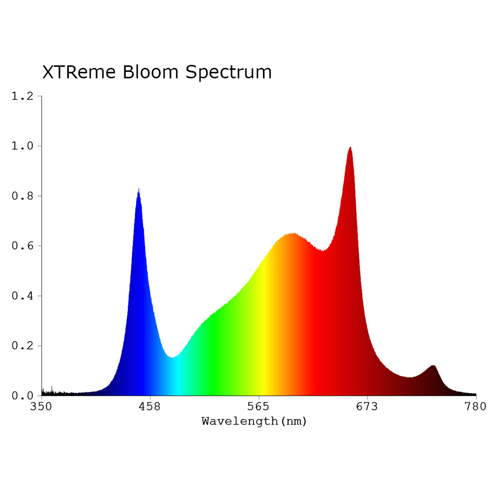 Dual Spectrum - Bloom