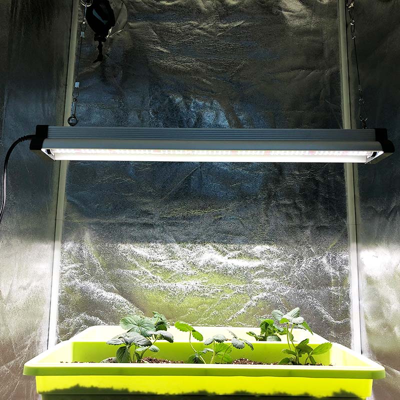 45W LED Bar Grow