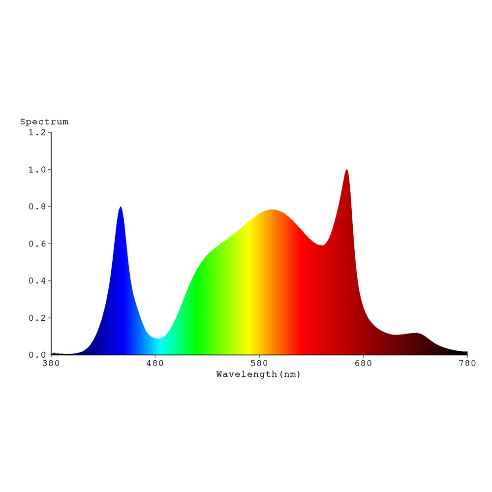 Spectrum Spectrabox BB