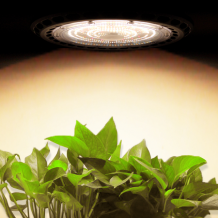 100W LED UFO, groei & bloei