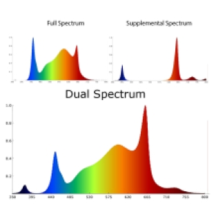 ScrogMaster Dual Spectrum